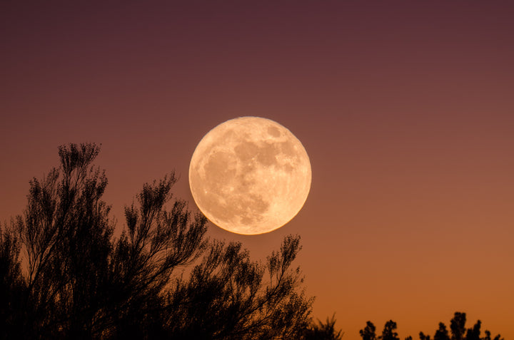 Menstruating in time with the full moon